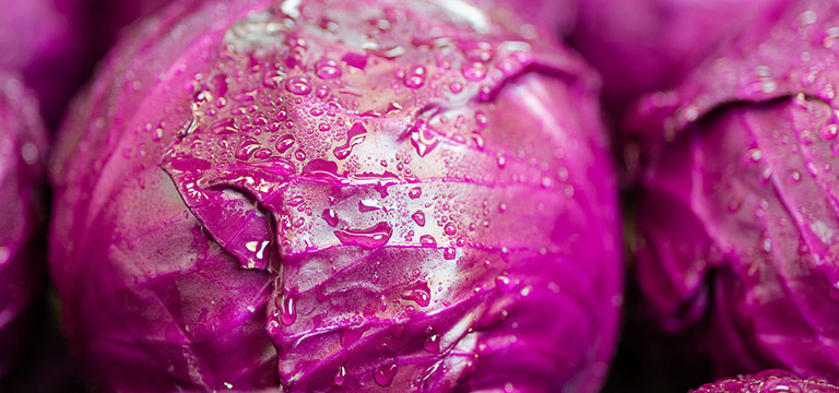 Photo of cabbage with water